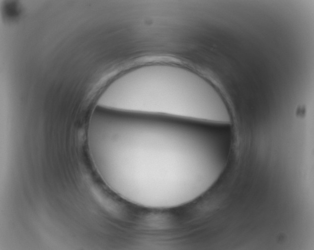 X0000114690063200910211103