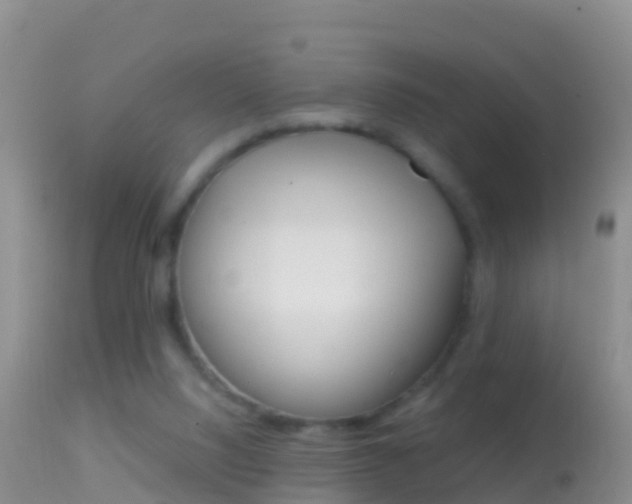 X0000114690064200910211103