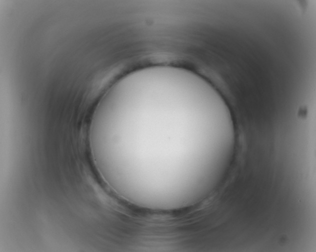 X0000114690066200910211103