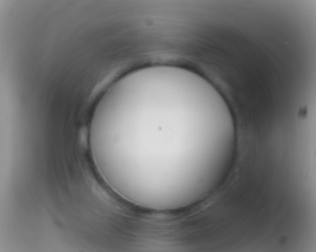 X0000114690067200910211103