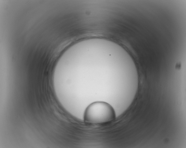 X0000114690068200910211103