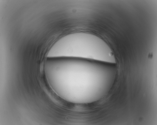 X0000114690070200910211103