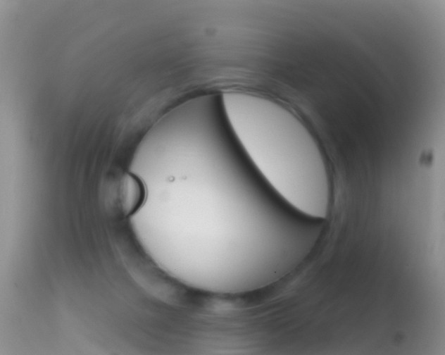 X0000114690073200910211103