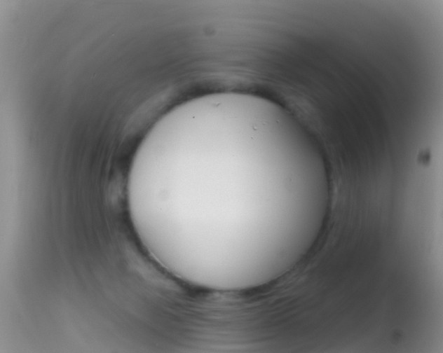 X0000114690077200910211103