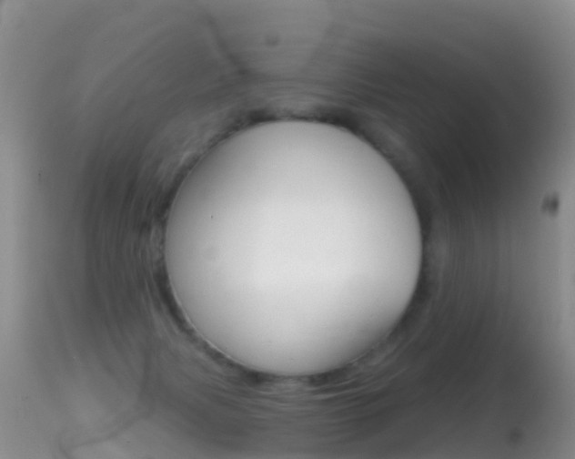 X0000114690079200910211103