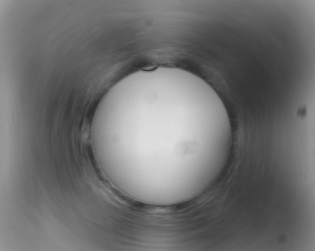 X0000114690081200910211103