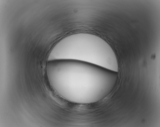 X0000114690082200910211103
