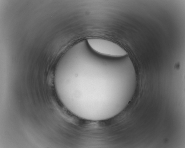 X0000114690083200910211103