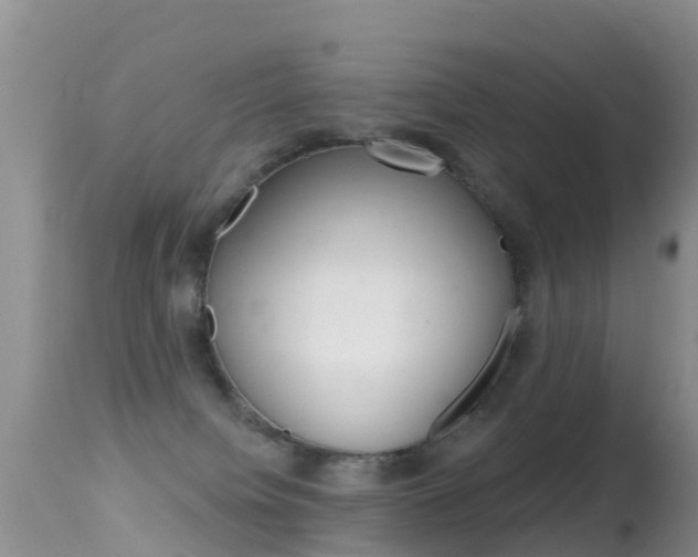 X0000114690084200910211103