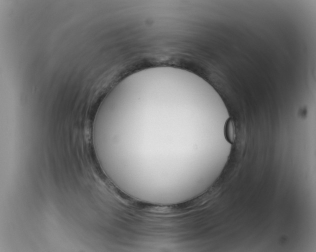 X0000114690085200910211104