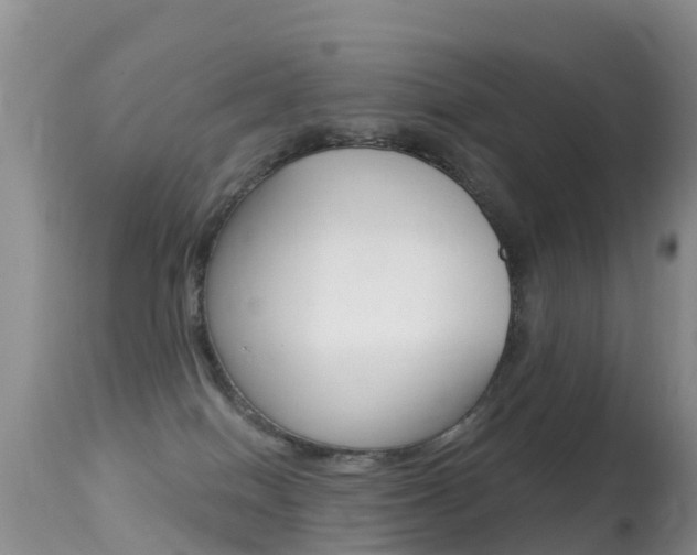 X0000114690086200910211104