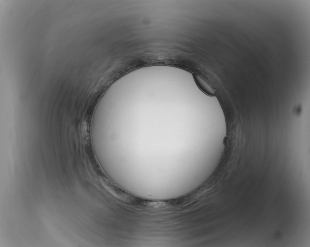 X0000114690087200910211104