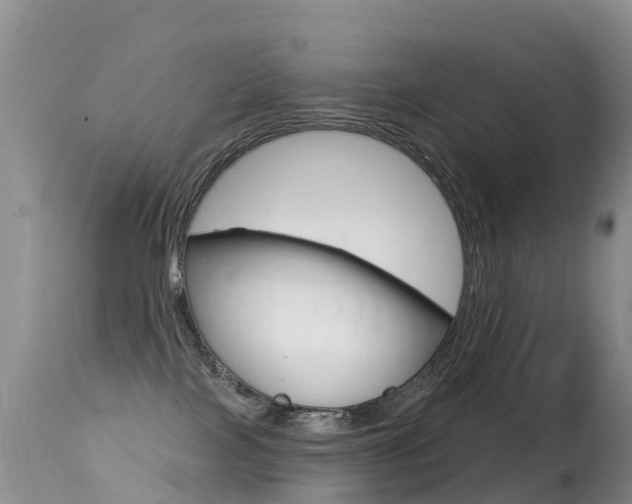 X0000114690089200910211104