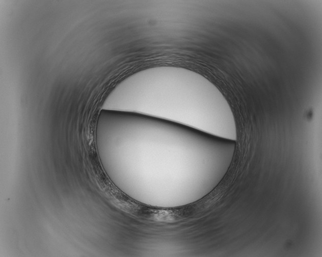 X0000114690091200910211104