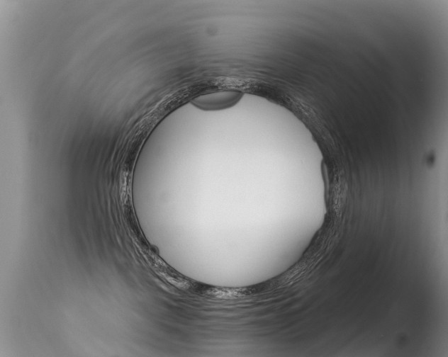 X0000114690093200910211104