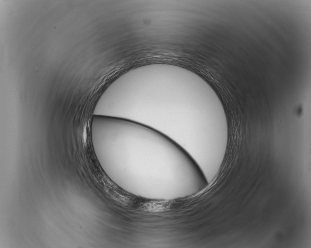 X0000114690094200910211104