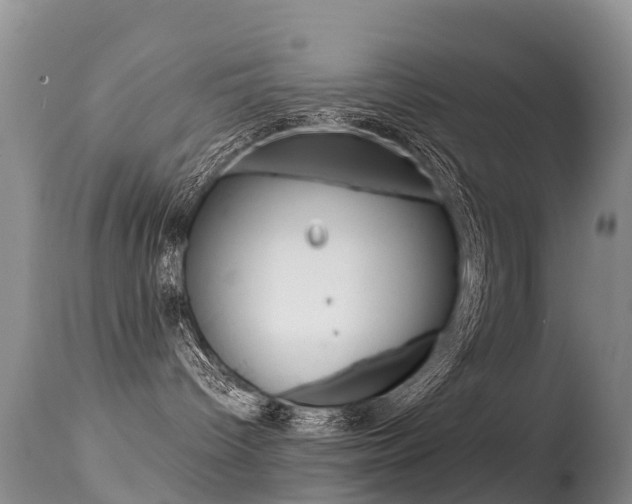 X0000114690096200910211104