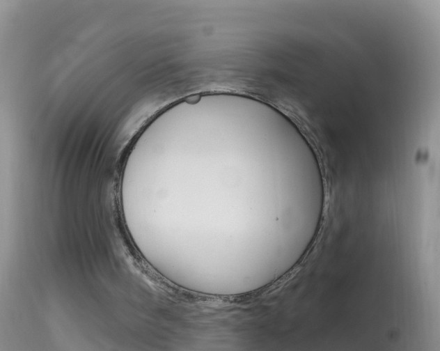 X0000114690098200910211103