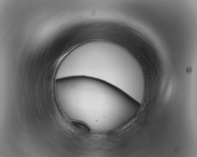 X0000114690099200910211103