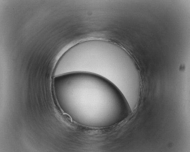 X0000114690100200910211103