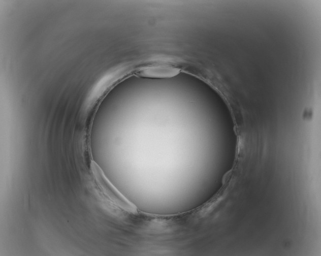 X0000114690101200910211103