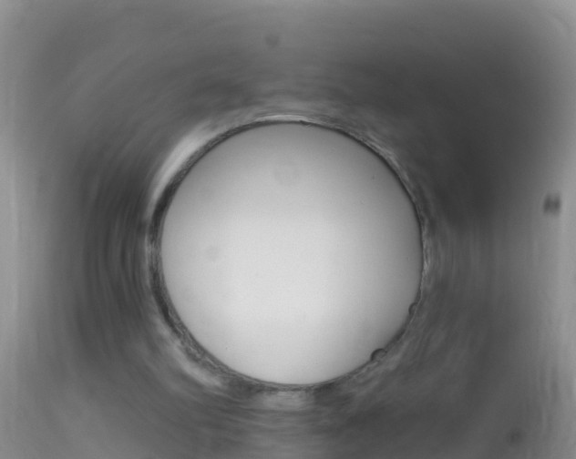 X0000114690102200910211103