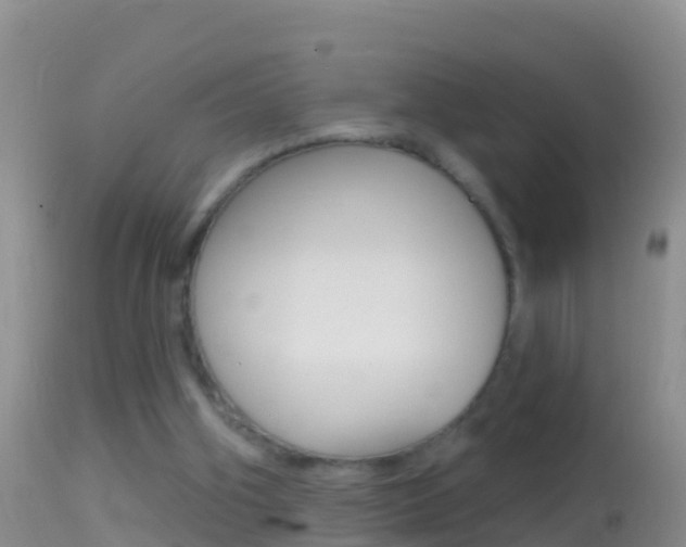X0000114690106200910211103