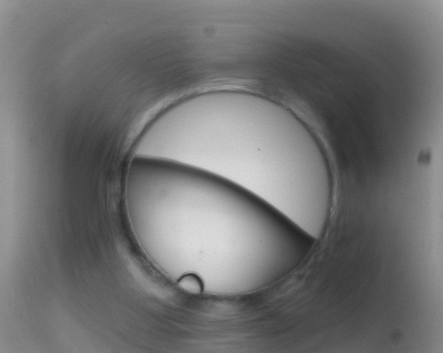 X0000114690107200910211103