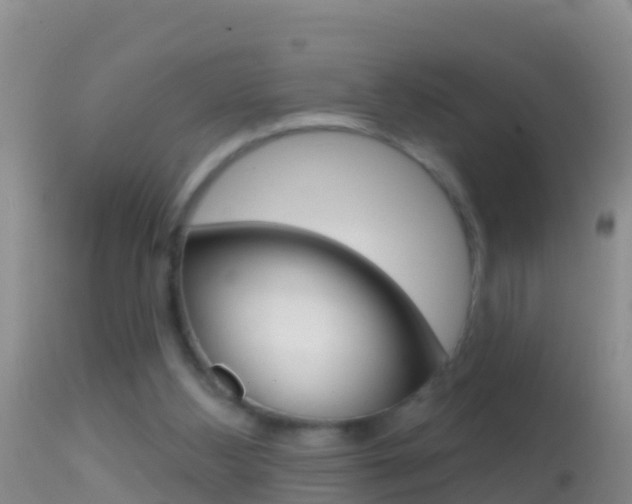 X0000114690108200910211103