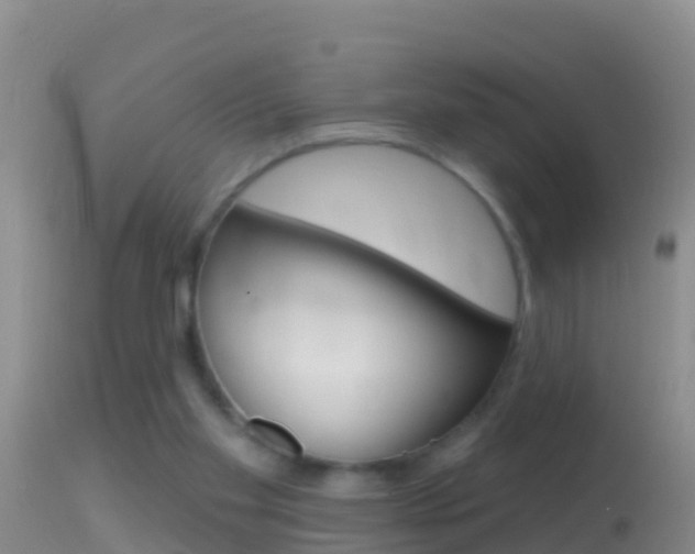 X0000114690109200910211103
