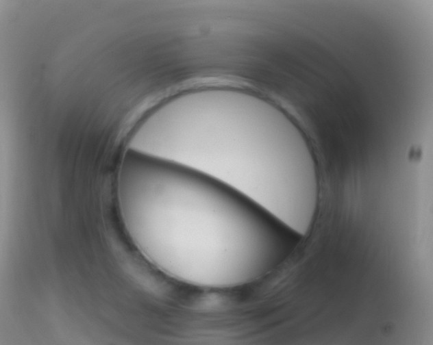 X0000114690111200910211103