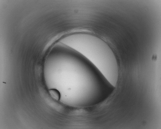 X0000114690112200910211103