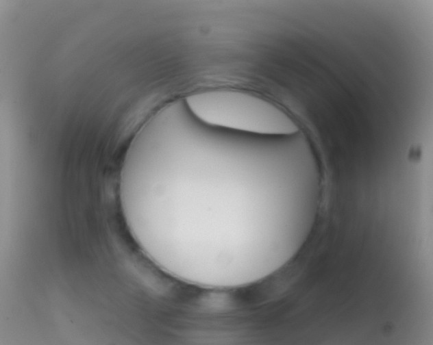 X0000114690114200910211103