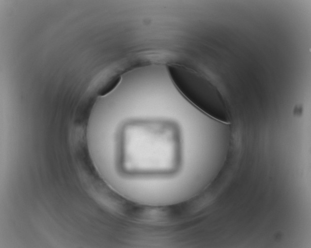X0000114690117200910211103