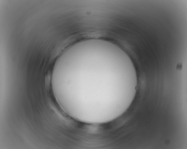 X0000114690118200910211103
