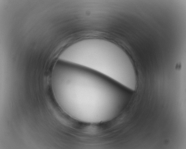 X0000114690119200910211103