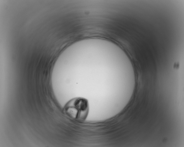 X0000114690121200910211103