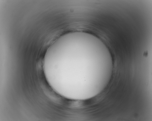 X0000114690122200910211103