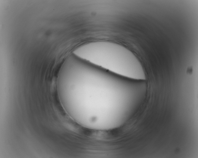 X0000114690125200910211103