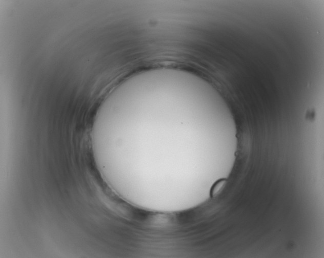 X0000114690126200910211103