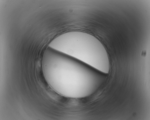 X0000114690127200910211103