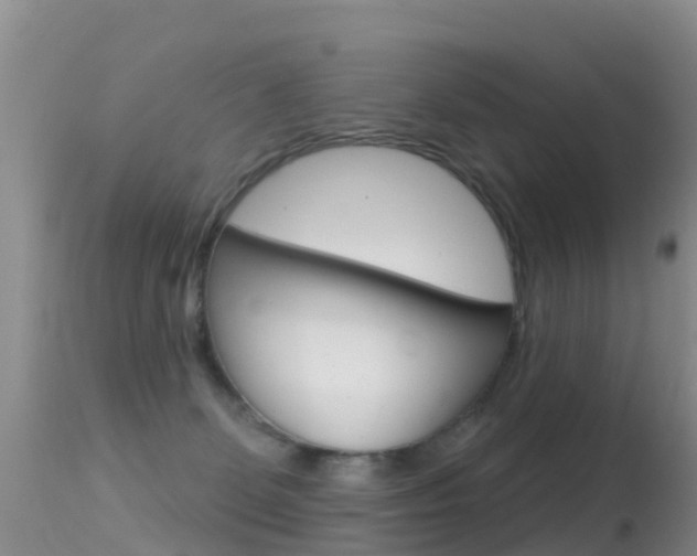X0000114690131200910211103