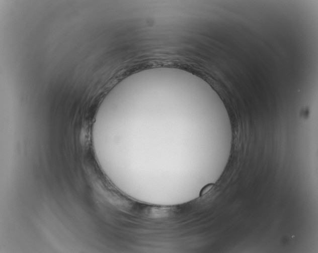 X0000114690134200910211102