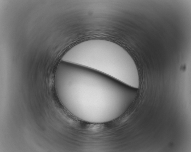 X0000114690135200910211102