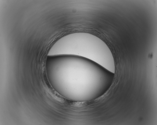 X0000114690136200910211102