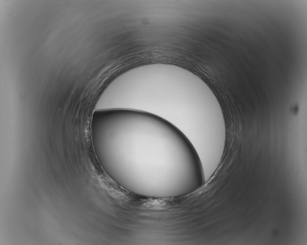 X0000114690140200910211102