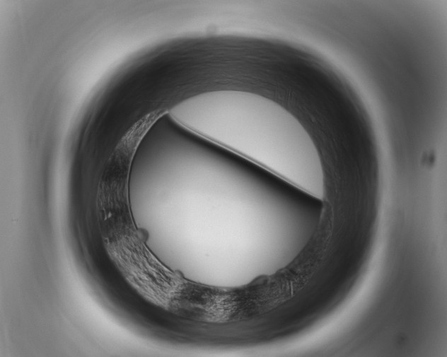 X0000114690143200910211102