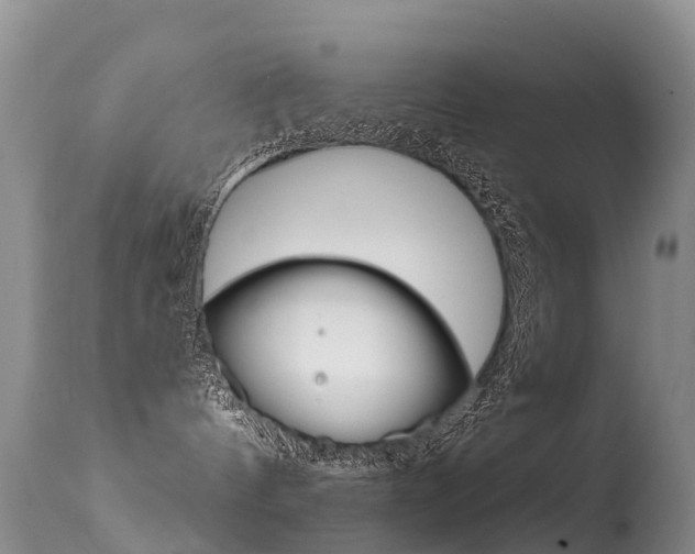 X0000114690144200910211102