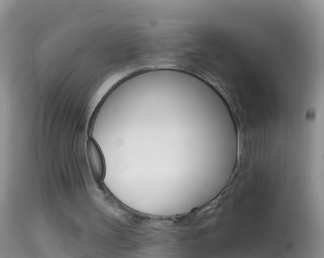 X0000114690147200910211102