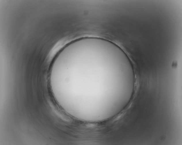 X0000114690151200910211102